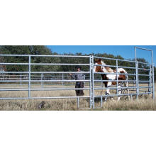 Farm Equestrian Fencing with High Quality and Low Price